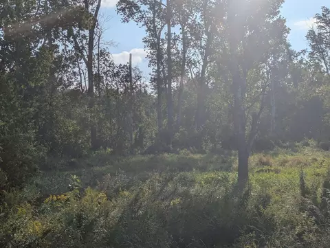 N/a Andrews, Tawas City, MI 48763
