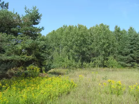 0 M-55 #E. DIVISION ST., Cadillac, MI 49601