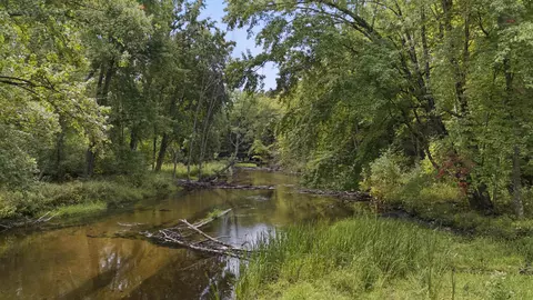 20 Ac Big Four, Bear Lake, MI 49614