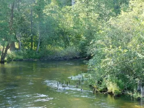 Cameron Bridge, Frederic, MI 49733 photo 11