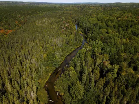 Cameron Bridge, Frederic, MI 49733 photo 21