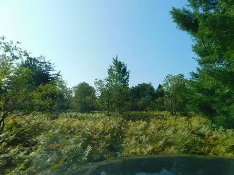 Cameron Bridge, Frederic, MI 49733 photo 33