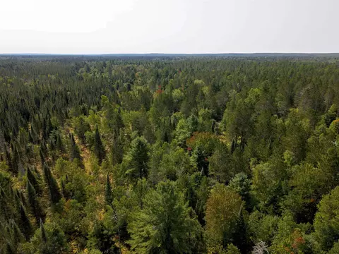 Cameron Bridge, Frederic, MI 49733 photo 14