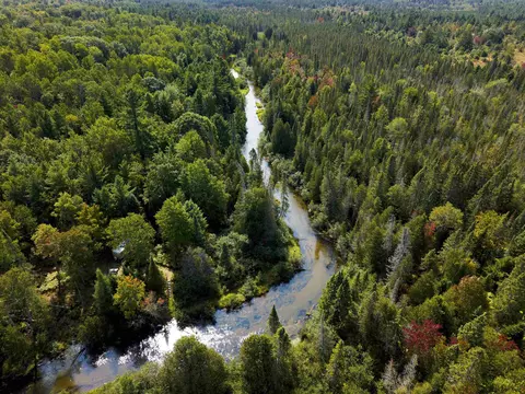 Cameron Bridge, Frederic, MI 49733 photo 2