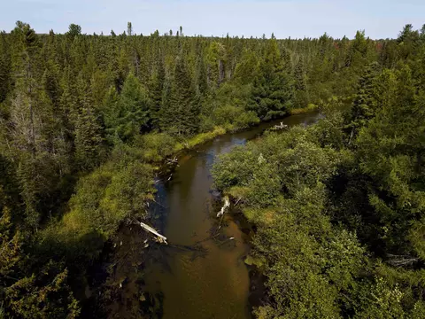 Cameron Bridge, Frederic, MI 49733 photo 5