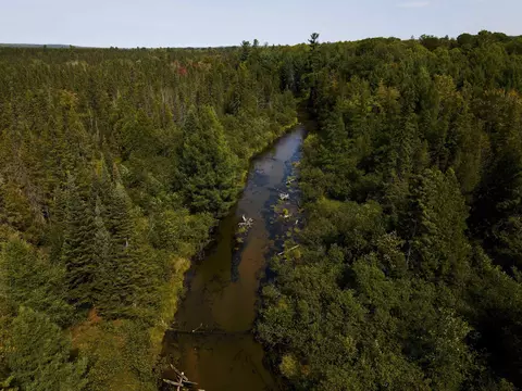 Cameron Bridge, Frederic, MI 49733 photo 24