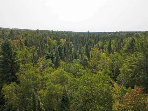 Cameron Bridge, Frederic, MI 49733 photo 12