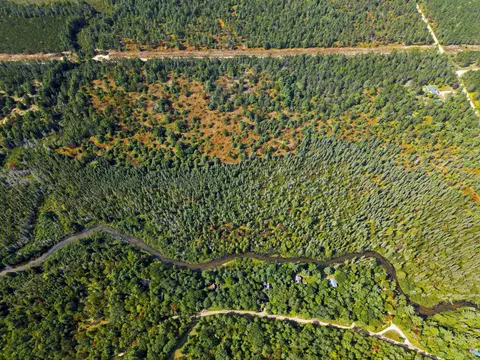 Cameron Bridge, Frederic, MI 49733 photo 15