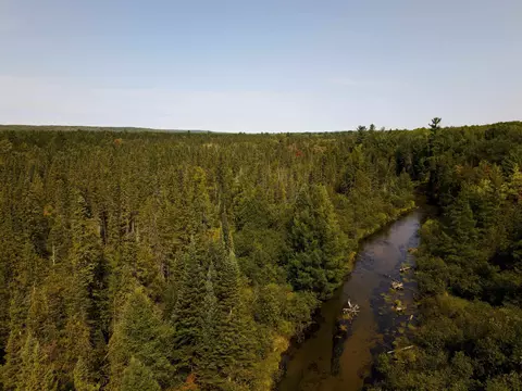 Cameron Bridge, Frederic, MI 49733 photo 27