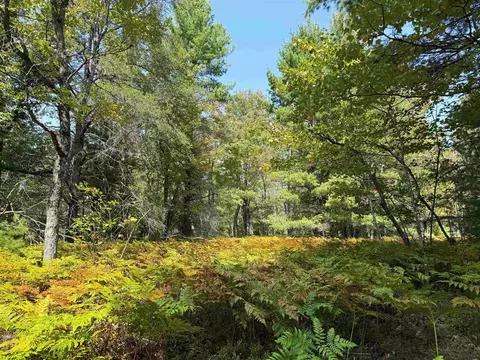 Cameron Bridge, Frederic, MI 49733 photo 63