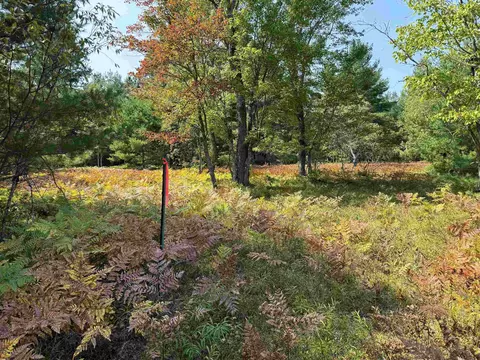 Cameron Bridge, Frederic, MI 49733 photo 62