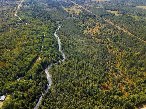 Cameron Bridge, Frederic, MI 49733 photo 3