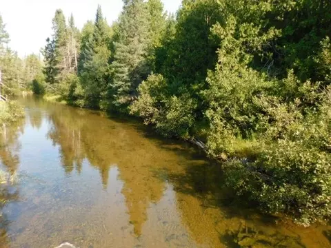 Cameron Bridge, Frederic, MI 49733 photo 32