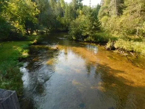 Cameron Bridge, Frederic, MI 49733