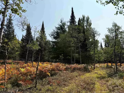 Cameron Bridge, Frederic, MI 49733 photo 38