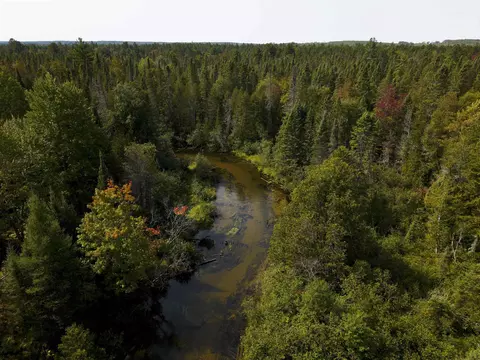 Cameron Bridge, Frederic, MI 49733 photo 29