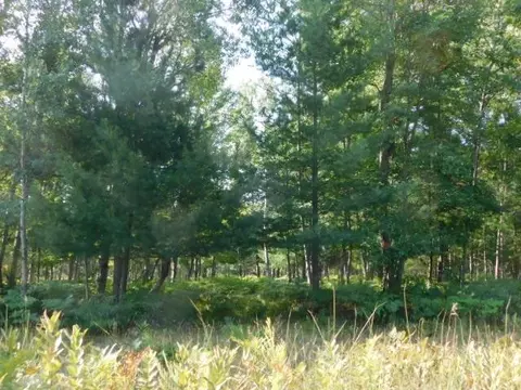 Cameron Bridge, Frederic, MI 49733 photo 39