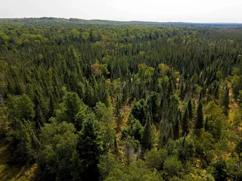 Cameron Bridge, Frederic, MI 49733 photo 13