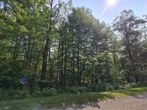 1617 Springdale, Elmira, MI 49730