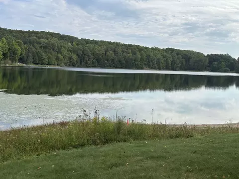 11575 S Tower, Maple City, MI 49664
