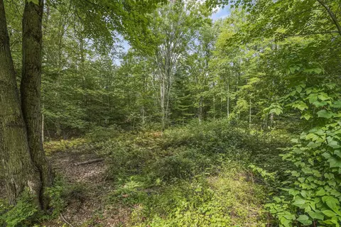 Exterior - 2733 West, Interlochen, MI 49643 photo 6 of 8