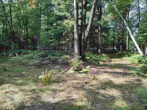 4317 Elbow Lk, Prescott, MI 48756