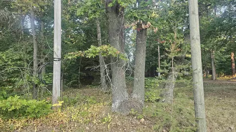 428 Pinnacle, Omer, MI 48749 photo 2