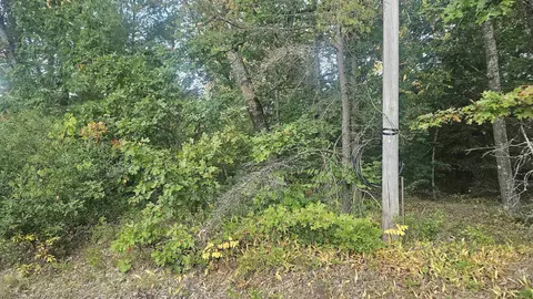 428 Pinnacle, Omer, MI 48749 photo 3