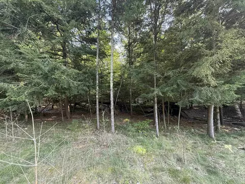 lot57 W W Hbr #LOT : 57, Glen Arbor, MI 49636