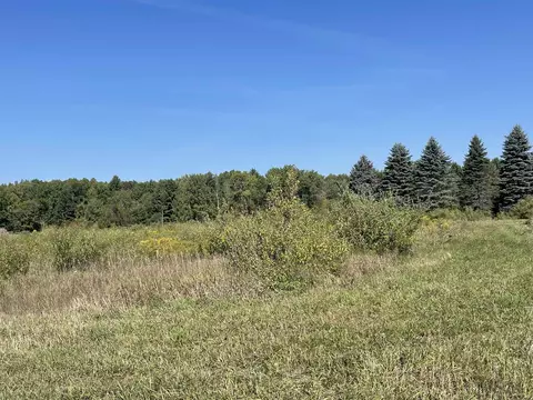 6160 Meredith Grade, Harrison, MI 48625 photo 14