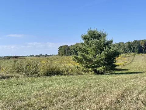 6160 Meredith Grade, Harrison, MI 48625 photo 12
