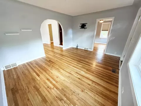 215 E Surrey, Farwell, MI 48622 photo 20