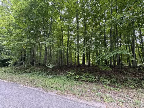 s green LOT : 28, Cedar, MI 49621