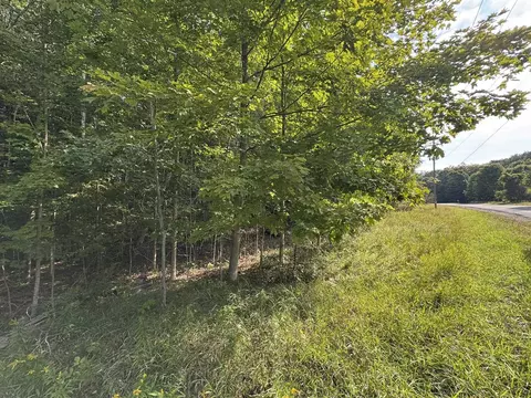 lot4 E Old Mtn #LOT : 4, Cedar, MI 49621 photo 5