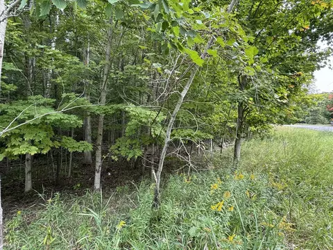 lot4 E Old Mtn #LOT : 4, Cedar, MI 49621 photo 9