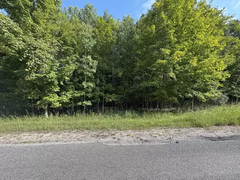 lot4 E Old Mtn #LOT : 4, Cedar, MI 49621 photo 4