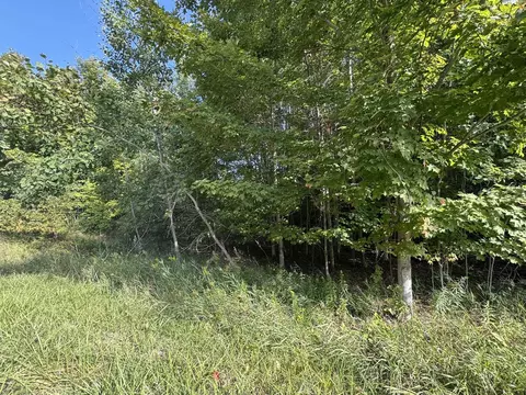 lot4 E Old Mtn #LOT : 4, Cedar, MI 49621 photo 7