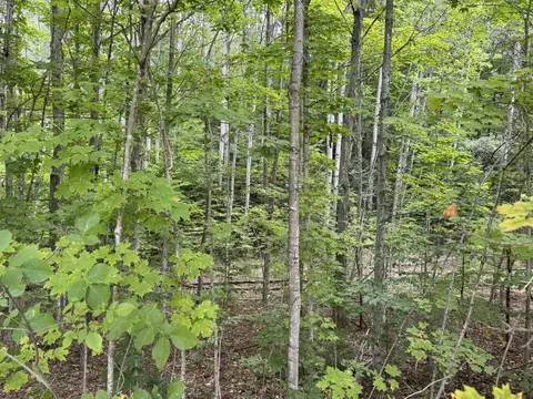 lot4 E Old Mtn #LOT : 4, Cedar, MI 49621 photo 2
