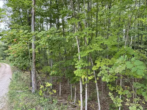 lot4 E Old Mtn #LOT : 4, Cedar, MI 49621 photo 3