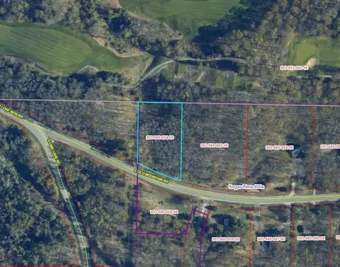 lot4 E Old Mtn #LOT : 4, Cedar, MI 49621 photo 12