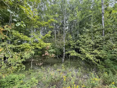 lot4 E Old Mtn #LOT : 4, Cedar, MI 49621 photo 10