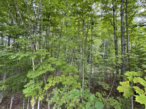 lot4 E Old Mtn #LOT : 4, Cedar, MI 49621 photo 11