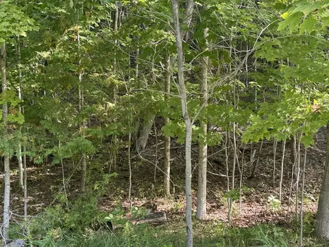 lot4 E Old Mtn #LOT : 4, Cedar, MI 49621 photo 6