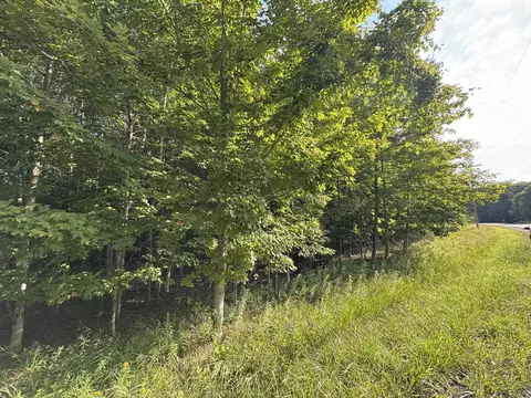 lot4 E Old Mtn #LOT : 4, Cedar, MI 49621 photo 8