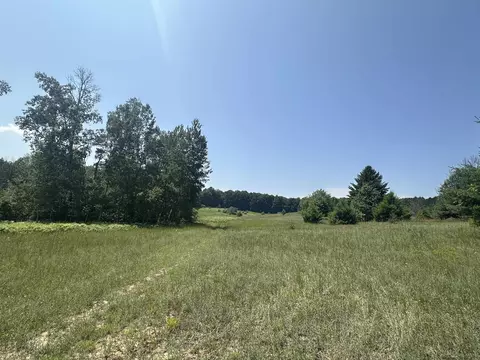 Parcel 2 Bright, Maple City, MI 49664 photo 6