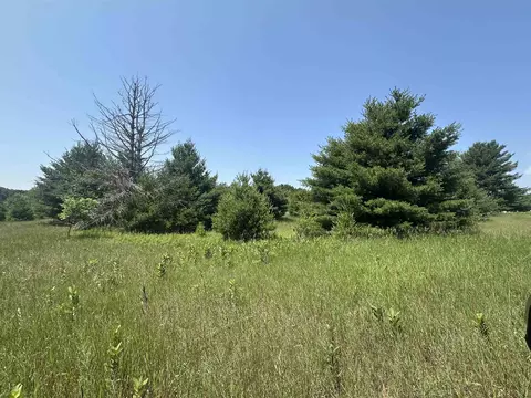 Parcel 2 Bright, Maple City, MI 49664 photo 4
