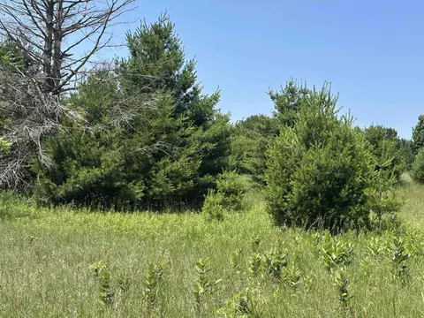 Parcel 2 Bright, Maple City, MI 49664 photo 3