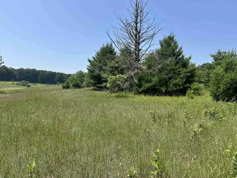 Parcel 2 Bright, Maple City, MI 49664 photo 2