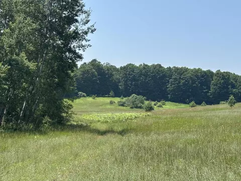 Parcel 2 Bright, Maple City, MI 49664 photo 5