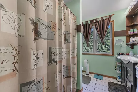 Bath - 150 Fairview, Manton, MI 49663 photo 3 of 5